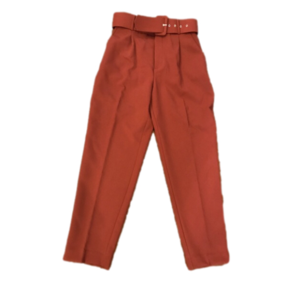 NWOT Zara High-Waisted Pleated Burgandy Pants